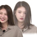 레드랫 이미지