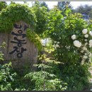 복 농장 이미지