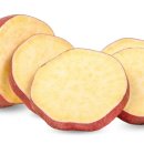 펫츠마트 이미지