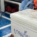 상봉주유소 | 태국 무꼬수린 여행 ④ 아오청캇 짐 분실 사건과 푸켓 공항 Coral 코랄 라운지