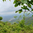 백연마을 이미지