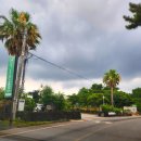 제주야자수정원수영장 올레돔 감성독채숙소 이미지