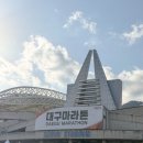 22-D | [마라톤 D-day] 런린이의 2026 대구마라톤 10.9km 러닝 후기