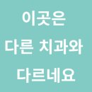고래도 춤추게 하는 치료 후기 칭찬 멘트