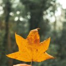 쉽게 배우는 스마트 스토어 이미지