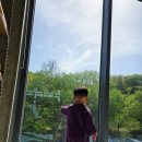 도자기앤 | 김포운양동 킬른앤캔버스 도자기페인팅체험카페 접시작품 구매후기