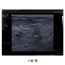 S동물의료센터 이미지