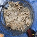 여수쭈꾸미 이미지