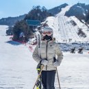 홍진경 카카오 검색결과