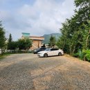 삼숭1통 이미지