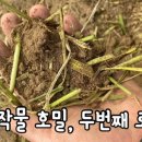 김원섭농장 이미지