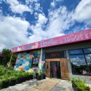 에코승마아카데미 이미지