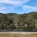 소나무여울공원 이미지