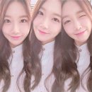 스텔라 - 화성시 안녕동 | 스텔라