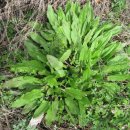 바른수영 이미지