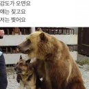 보이텍 이미지