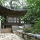 정자주단