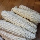 용평청과