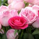 (주)충만에너지 이미지