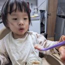 중기마을세천 | [대구 시판 이유식 배달 추천] 아빠맘마 (루솔,푸드케어클레,베베쿡 비교)