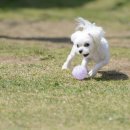 보리콩이네 이미지