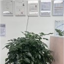 대방황금공인중개사사무소 이미지