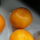 맛나반찬 이미지