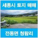 우리땅 공인중개사사무소 이미지