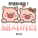 케이가축인공수정소 | 25년 6월 연천 반딧불이축제 후기 및 팁