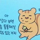 춘천집닭갈비 - 유성구 전민로22번길 24 | 춘천집닭갈비