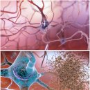 청도의료기 이미지