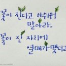 힐링 라인댄스 이미지