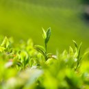 김정현한의원 이미지