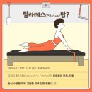 비즈필라테스정촌점