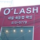 오래쉬(O’LASH) 이미지