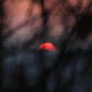 입장중학교 이미지