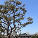 벽골제 관광안내소 이미지