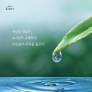 이땅의 고통받는 모든 중생을 이미지