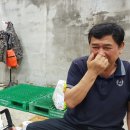 애플팜조인