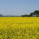 남지읍수변생태공원 이미지