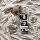 (주)엠투디자인스튜디오 | 마리스튜디오 만삭촬영 영선실장님 후기🤍 (헤리티지 청담 산후조리원 연계 할인, 가격)