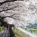 응봉개나리어린이공원 이미지