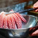 인하선생 이미지