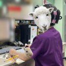 호박노래클럽 - 아산시 아산로 40 | 호박노래클럽