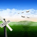 Strange World 이미지