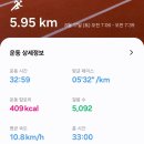 8/17 (토) 대천해수욕장 백사장에서 맨발달리기 6Km 이미지