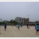 안룡초등학교 이미지