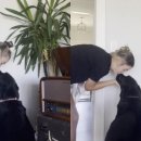 강아지사랑 이미지