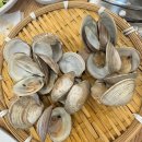명량산오징어 | 동탄맛집 키조개삼합 산오징어회 후기 | 확장이전 주차완비 해산물 솔직리뷰
