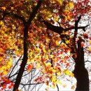 고창 문수사 이미지